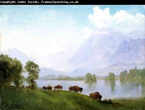 Albert Bierstadt Buffalo Country